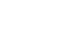 white vsa logo